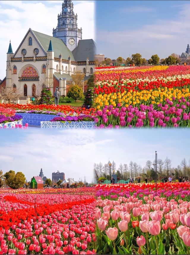 鹽城新秘境｜荷蘭花海：穿越歐式童話的浪漫風暴