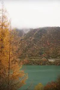 在綿陽發現一處小眾免費看彩林的地方