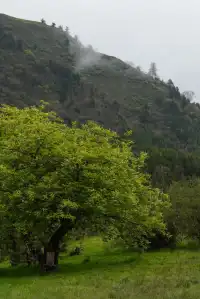 人生第一次帶相機雨林徒步!