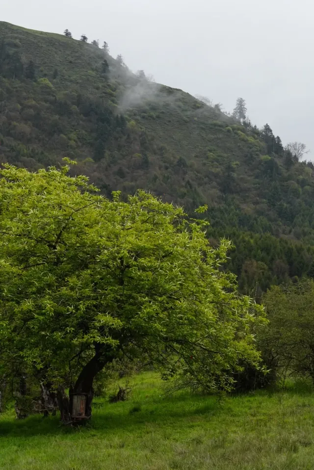 人生第一次帶相機雨林徒步! 人生第一次帶相機雨林徒步!