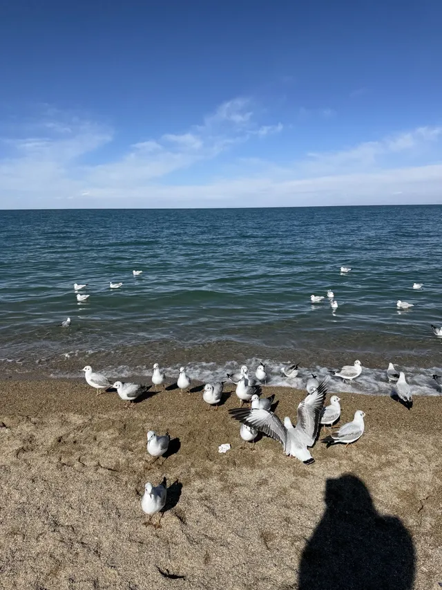 冬季青海湖美哭了.. 冬季青海湖美哭了..