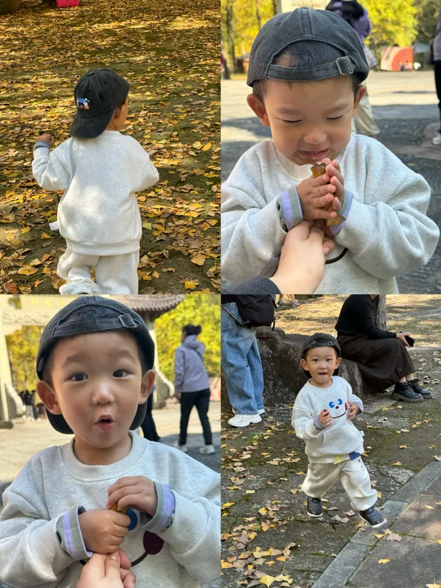 室外遛娃｜諸暨五泄 闖入秋葉世界