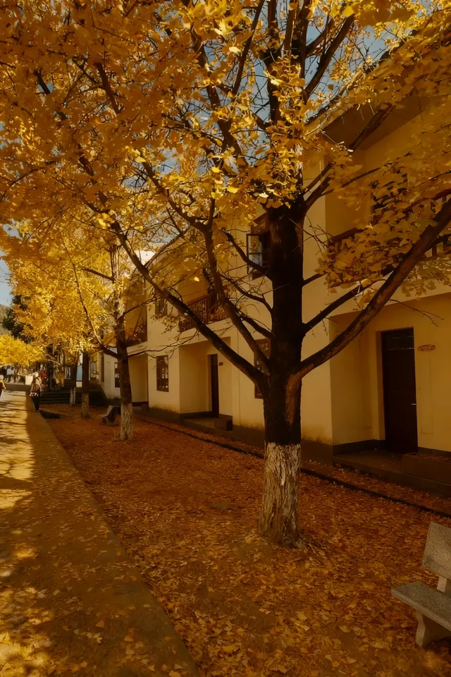 南雄·帽子峰 南雄·帽子峰