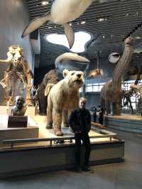 Самый красивый Шанхайский музей природы 🦖🇨🇳