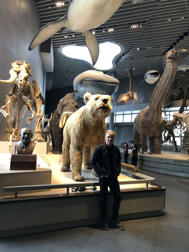 Самый красивый Шанхайский музей природы 🦖🇨🇳