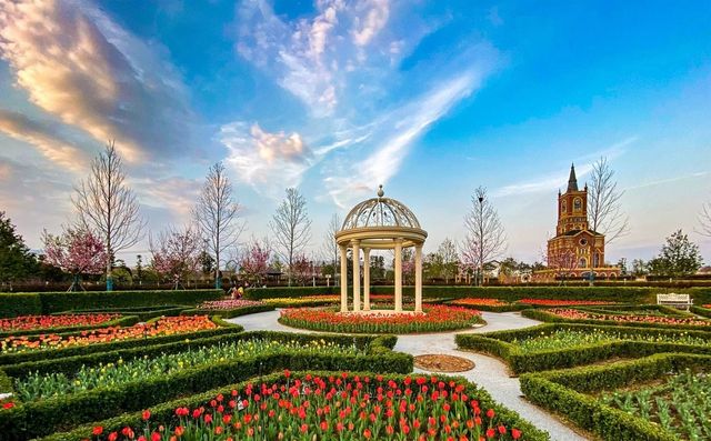 【打卡豐城愛情花卉小鎮】 【打卡豐城愛情花卉小鎮】