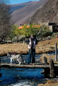 你去你的理小路,我去我的姑弄村