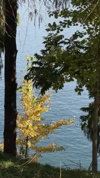 這裡不是瑞士！這裡是千島湖植物園