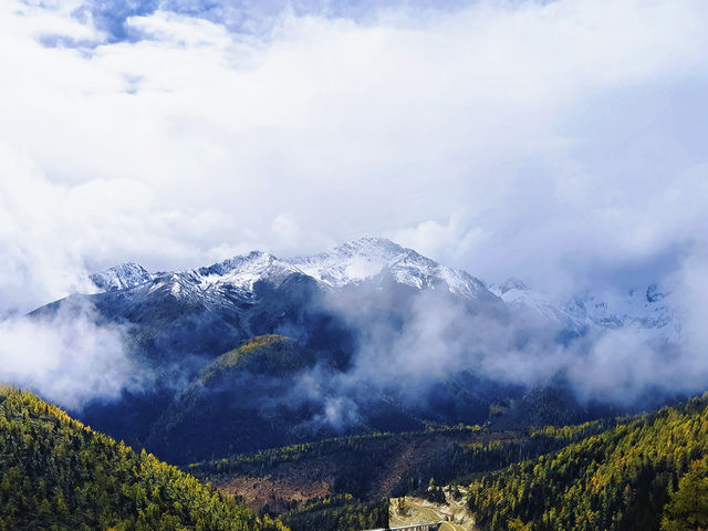 別再去318擠了！滇藏線214國道才是秋日自駕天花板！
