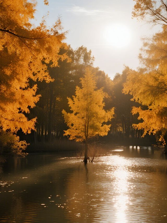 金塔胡楊林親子行|帶娃解鎖秋日胡楊秘境 金塔胡楊林親子行|帶娃解鎖秋日胡楊秘境