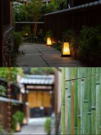 京都雨宿坎普頓,治癒感拉滿!