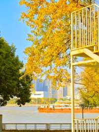 上海發布認證 已達巔峰值 相當炸裂