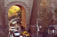 南京三天遊(秋天的尾巴)