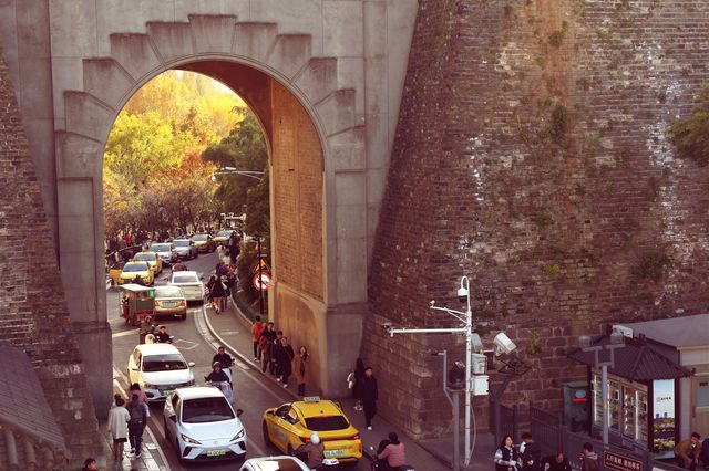 南京三天遊(秋天的尾巴) 南京三天遊(秋天的尾巴)