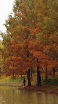 浐灞濕地的藍與紅美到窒息