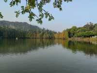 肇慶七星岩|闖入現實版山水畫!隨手拍都是大片! 七星岩,肇慶必去!喀斯特地貌+湖泊,一秒穿越