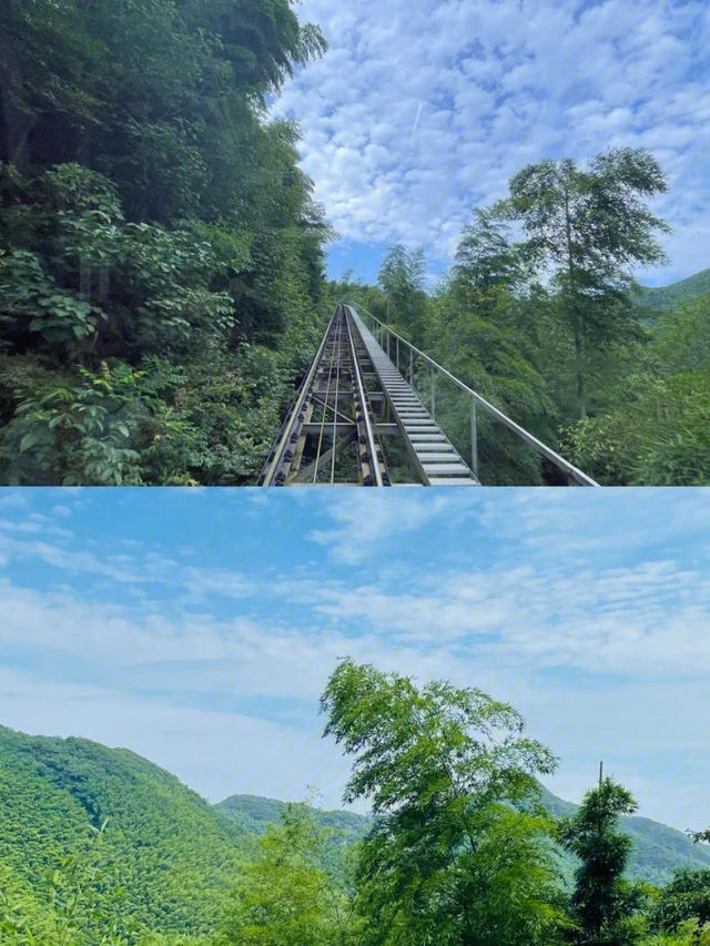 一半是湖水,一半是竹海,溧陽的美,超出你想像! 一半是湖水,一半是竹海,溧陽的美,超出你想像!