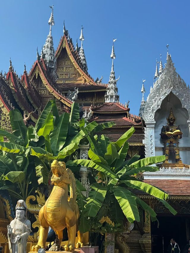 景洪曼聽御花園攻略 景洪曼聽御花園攻略