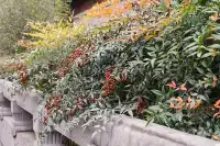 這裡是少林寺，金庸筆下的江湖起點