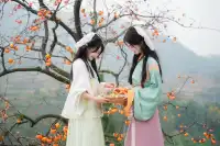 誰還沒去大貴州拍柿子？朋友問了10000次