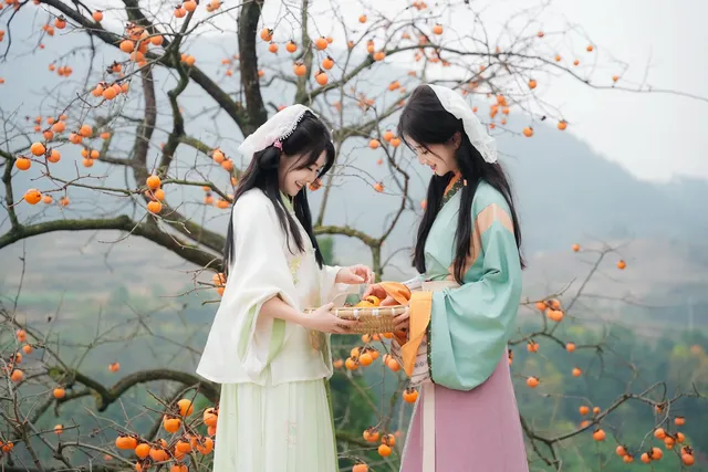 誰還沒去大貴州拍柿子？朋友問了10000次