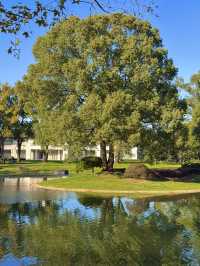 東郊秘境直出！比西郊美10倍的live級秋日畫冊