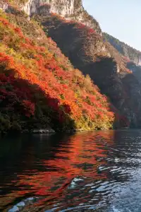 徒步賞秋天花板!這裡的秋日濃度已達90%