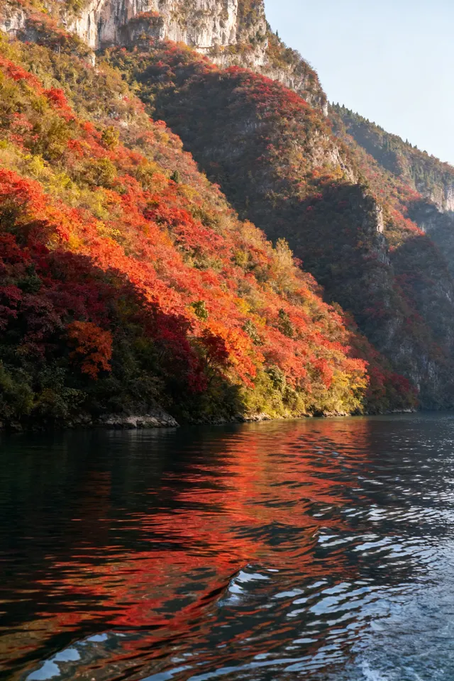 徒步賞秋天花板!這裡的秋日濃度已達90% 徒步賞秋天花板!這裡的秋日濃度已達90%