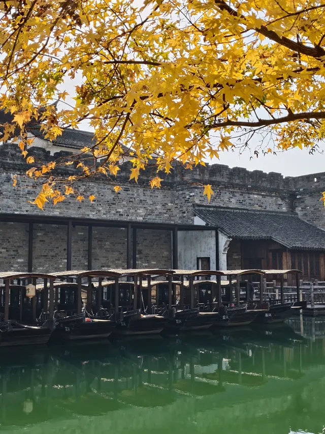 看我用手機記錄鹽官最濃的秋色附機位版 看我用手機記錄鹽官最濃的秋色附機位版