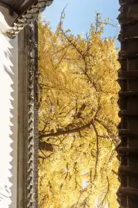 揚州的秋色真的值得專程去一趟