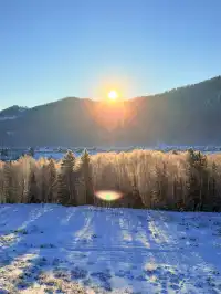 今日份禾木日出，絕美