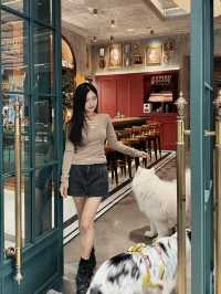 plog|跟毛孩子的聖誕漂亮飯囉