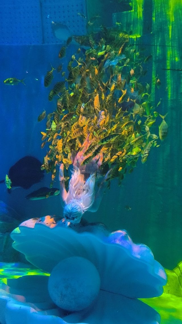 哈爾濱極地公園攻略筆記 哈爾濱極地公園攻略筆記