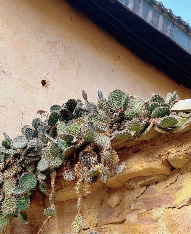 不敢想像這裡的夏天有多美 不敢想像這裡的夏天有多美