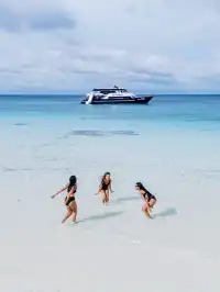 在普吉島和世界冠軍一起潛水