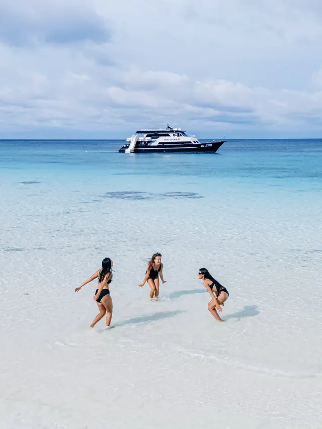 在普吉島和世界冠軍一起潛水