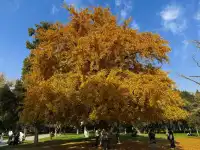 週末打卡一座城之揚州day2