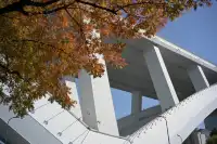 日落前入園！溫室花園日夜場一次看完