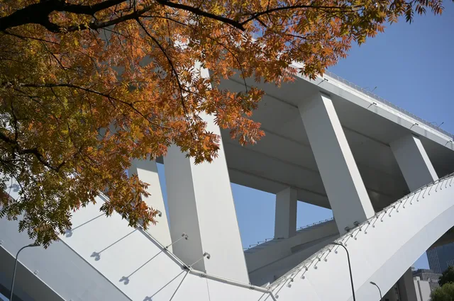 日落前入園！溫室花園日夜場一次看完