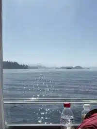 千島湖中心湖區攻略｜帶娃免門票遊湖！