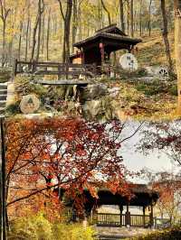 被問爆了!這個秋天在永泉小鎮,找到了江南最治癒的時光