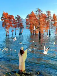 18圖告訴你,現在的大理水杉季究竟有多美……