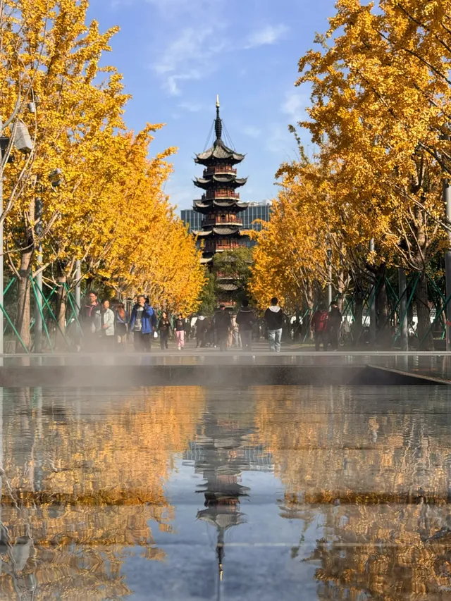 上海12月銀杏路線大合集!別錯過最佳觀賞期 上海12月銀杏路線大合集!別錯過最佳觀賞期