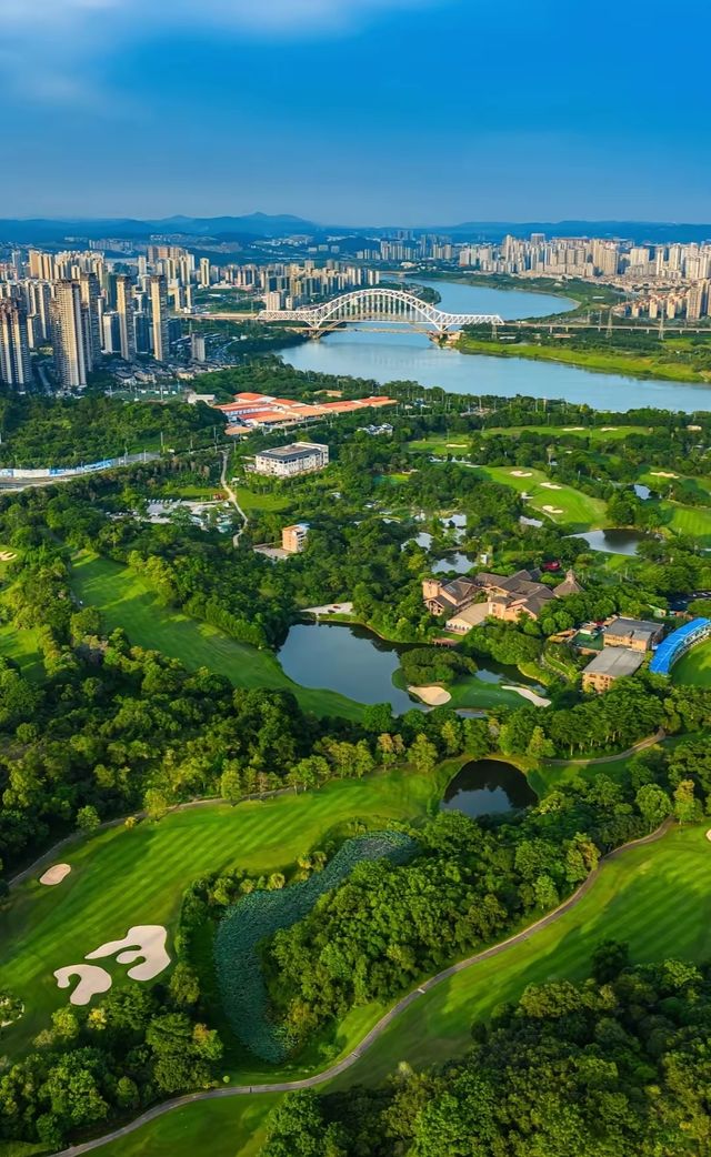 綠城南寧的晴天絕了 綠城南寧的晴天絕了