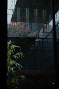 初雪輕吻北京,繪就靜謐詩意畫卷