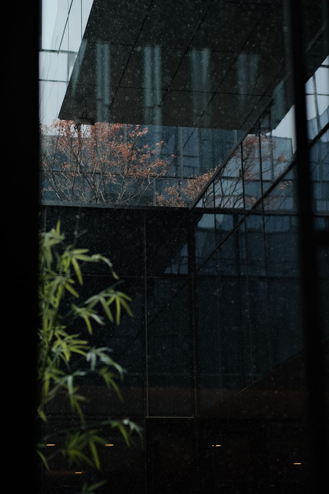 初雪輕吻北京,繪就靜謐詩意畫卷 初雪輕吻北京,繪就靜謐詩意畫卷