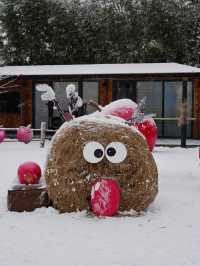 北京初雪在禧園撞進童話鎮啦！