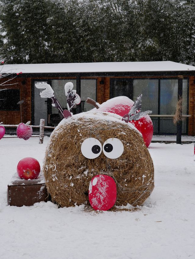 北京初雪在禧園撞進童話鎮啦！