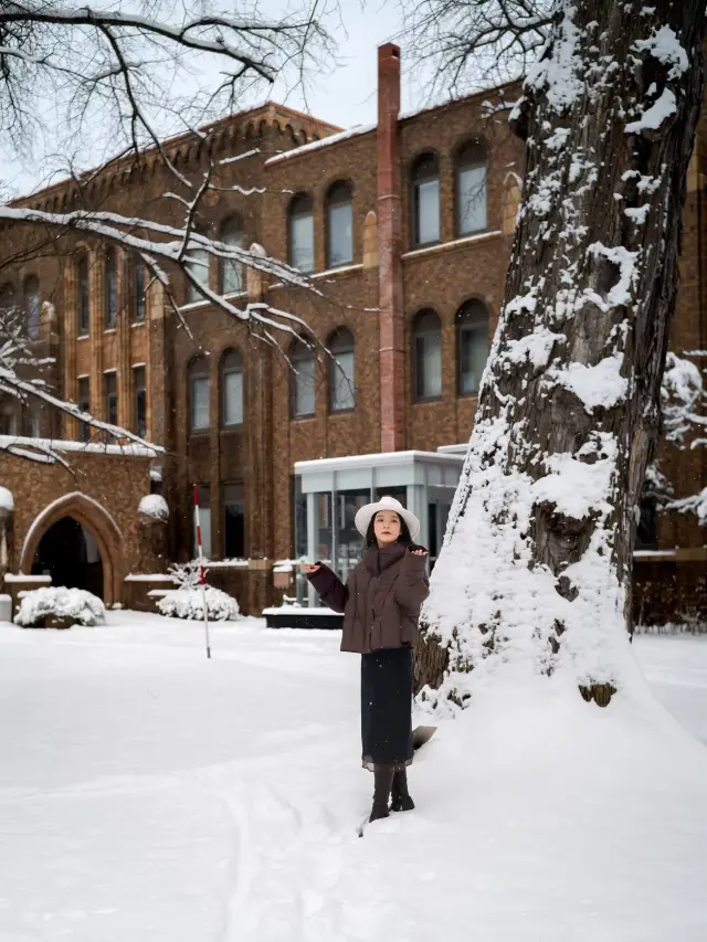 北海道冬旅｜與摯友，在雪與海的邊界