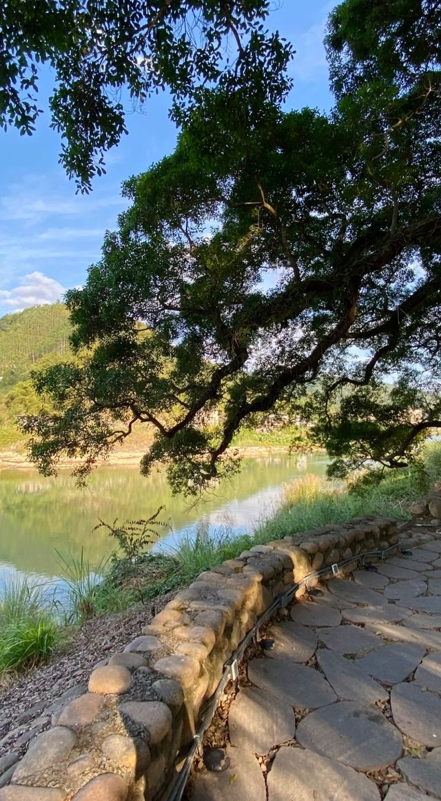 福州嵩口古鎮:景色醉人的桃源仙境 福州嵩口古鎮:景色醉人的桃源仙境